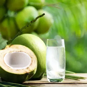 Air Kelapa Bisa "Menetralkan Racun" dalam Tubuh? Mitos atau Fakta? 